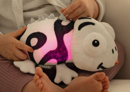 Sélection doudous, peluches